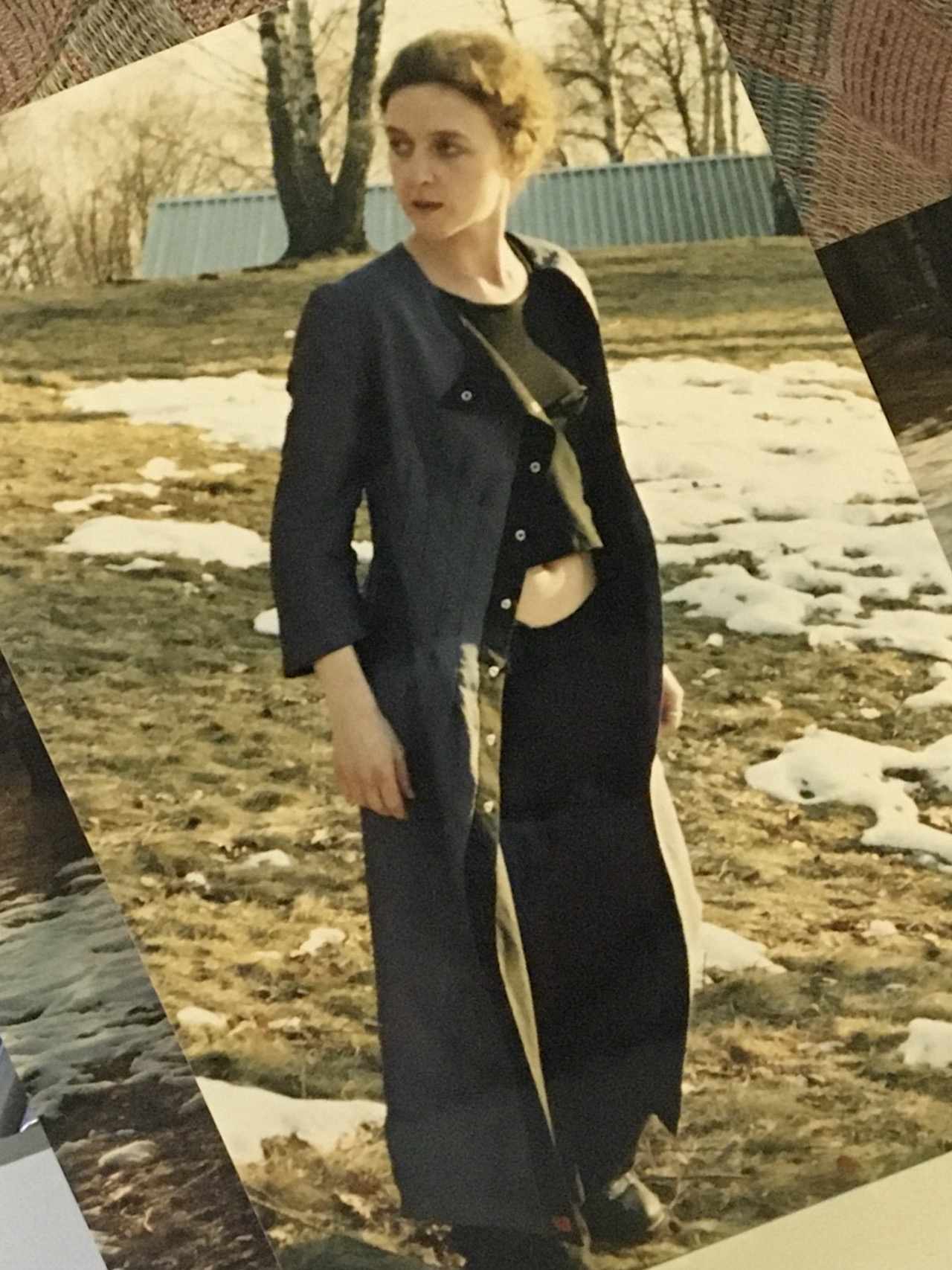 Gli ultimi giorni della fenice